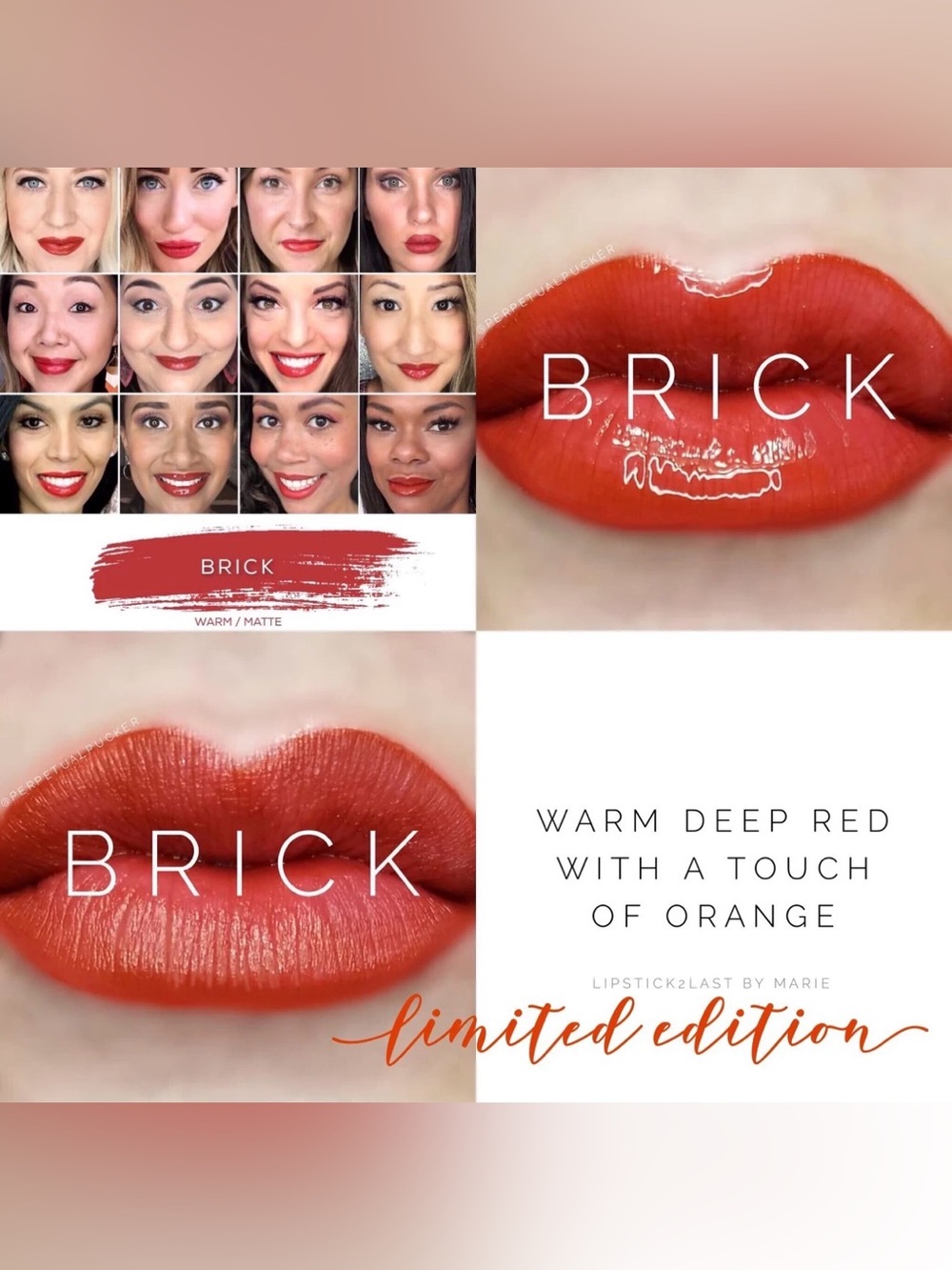 Limited Edition - Brick Lipsense